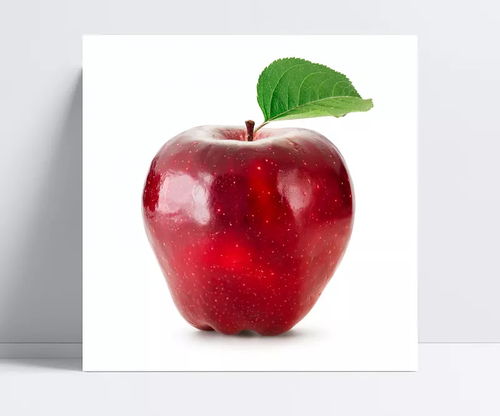 苹果之魅 从青涩到甘醇的美食之旅