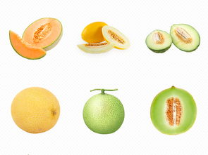 香甜哈密瓜 从水果到零食的多样化享受